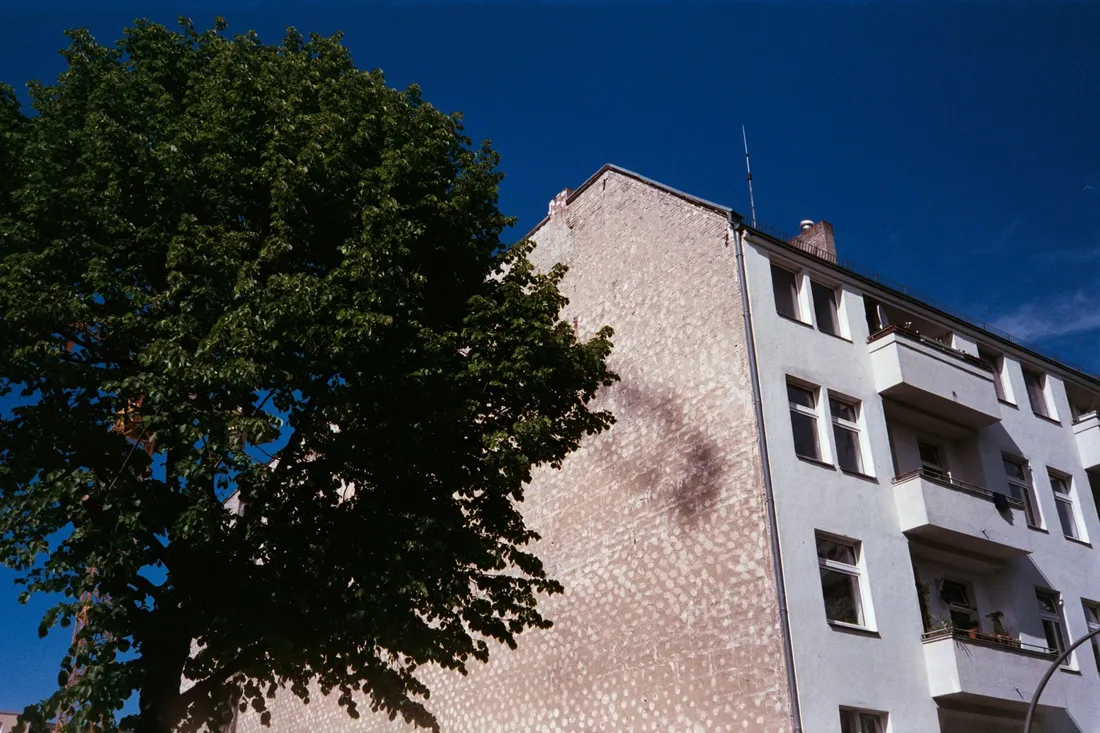 Wohnhaus von unten fotografiert, kahle Brandwand neben Balkonreihe, links eine dichte Baumkrone