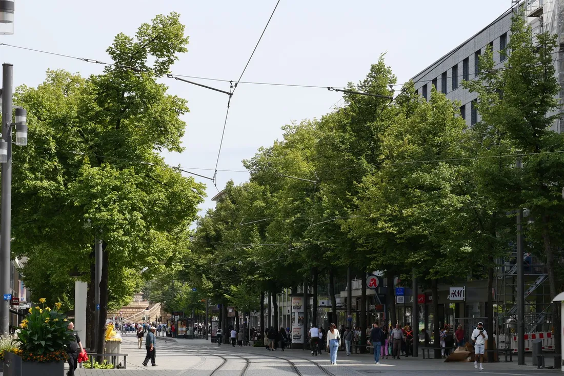 Breite Fußgängerzone mit dichten Baumreihen, Straßenbahnschienen und Oberleitungen